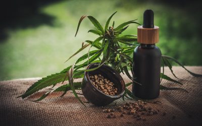 A Marketing Challenge: CBD Products, Part 2  Selling Through Education – Answers to the most common questions about CBD